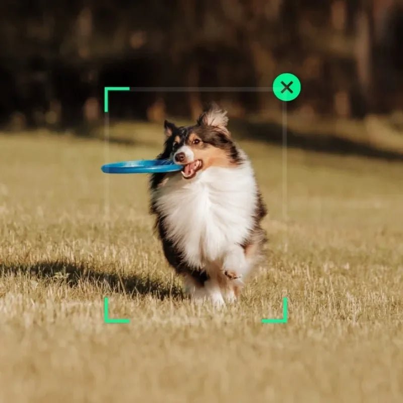 DJI Osmo Mobile SE Handheld Gimbal - Influence Supply